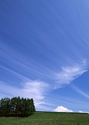 少人数のお葬式は新しい流れです